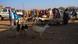 Somaliya | Somaliland | Tsaro | Habasha Somaliya | Somaliland | Tsaro | Habasha