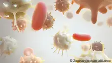 The T cells not only kill cancer cells.They additionally destroy the tumour blood vessel system, thus impeding the supply of nutrients to the tumour.3D illustration