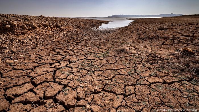 Crece preocupación en Uruguay por la sequía | Las noticias y análisis más  importantes en América Latina | DW | 15.03.2023