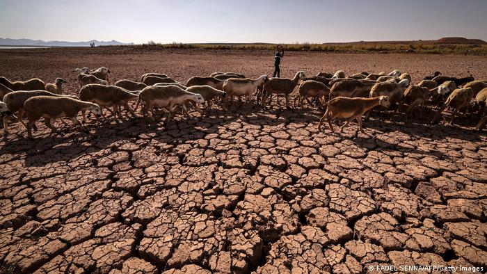 Las sequías podrían perjudicar a los países que ya luchan contra la subida de los precios de los alimentos.