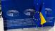 Прапори України та Євросоюзу Прапори України та Євросоюзу