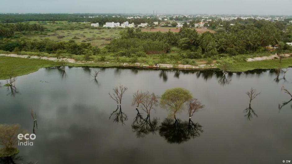 Cleaning up Coimbatore's water act DW 12/15/2022
