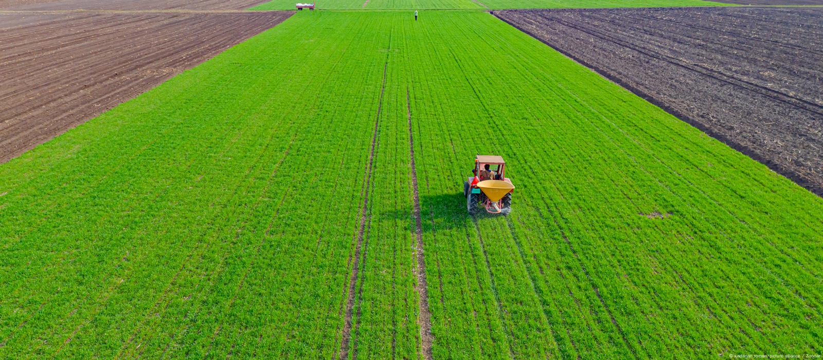 agriculture field