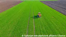 Above view on tractor as throws, fertilizing arable farmland with crop of young green wheat, dragging mounted agricultural machine for spreading artificial fertilizer.