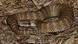 Eine death adder (Todesotter), eine der giftigsten Schlangen der Welt, die in Australien beheimatet ist. Eine death adder (Todesotter), eine der giftigsten Schlangen der Welt, die in Australien beheimatet ist.