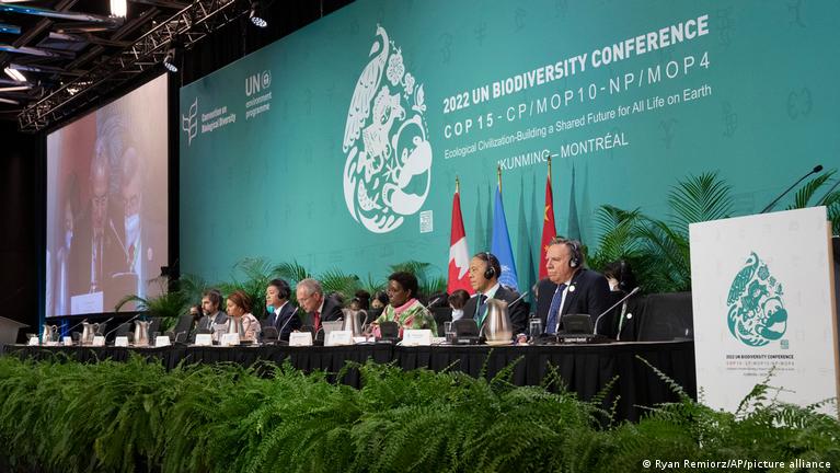 La ONU pide 20.000 mill. al año para preservar biodiversidad