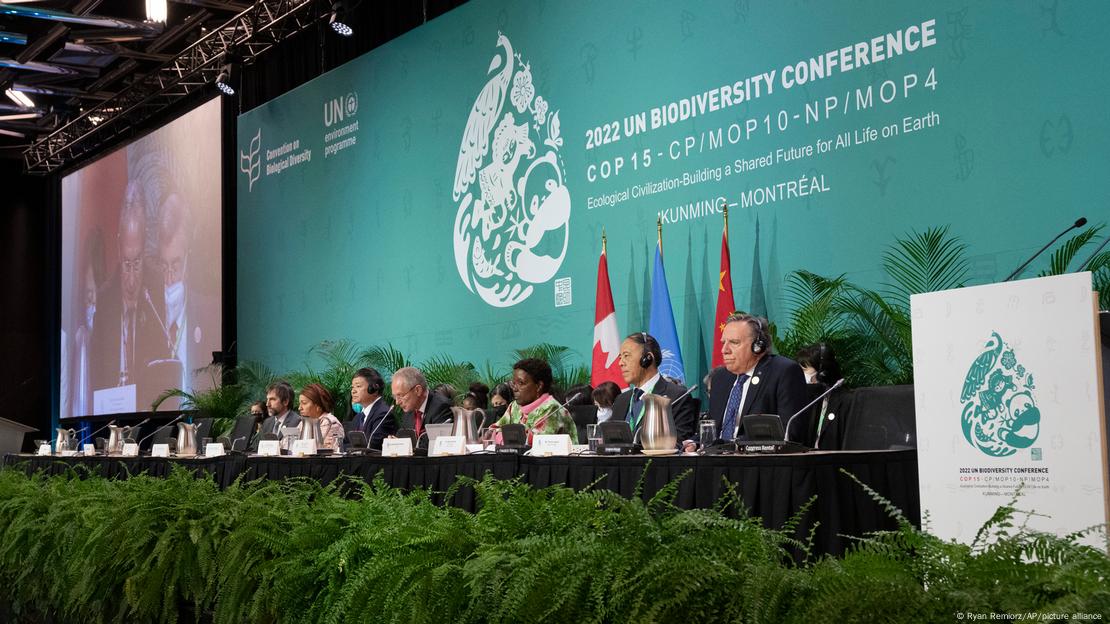 Mesa da COP15 com representantes sentados