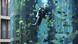 In this 2008 file photo, a scuba diver swims in the AquaDom aquarium tank at the Radisson Blu hotel in Berlin, Germany In this 2008 file photo, a scuba diver swims in the AquaDom aquarium tank at the Radisson Blu hotel in Berlin, Germany