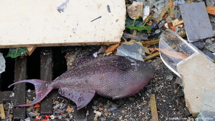 Deutschland I Riesenaquarium in Berliner Hotel geplatzt