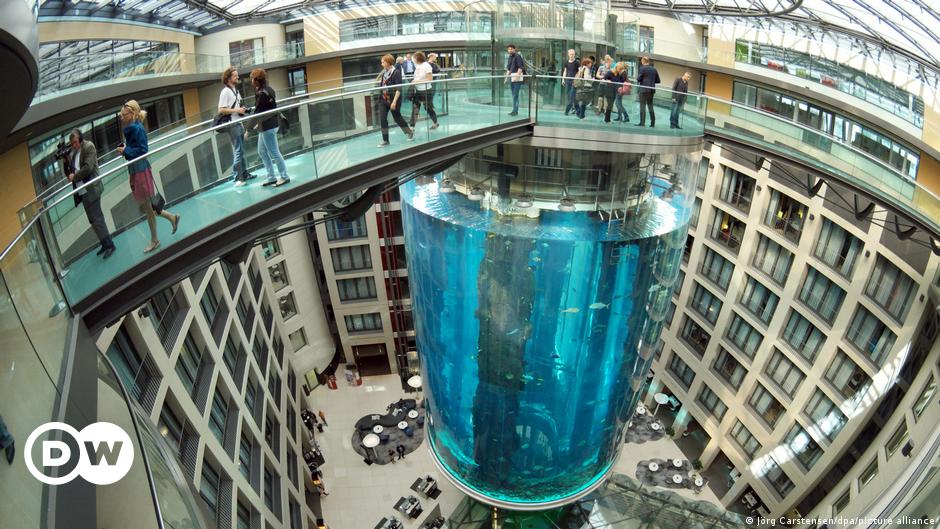 Everything you need to know about Berlin’s aquarium explosion with 1,500 exotic fish and a million liters of water |  Science and Ecology |  T.W.