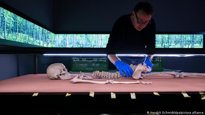 Ein Mann arrangiert die Knochen eines Skeletts in einer Ausstellung.