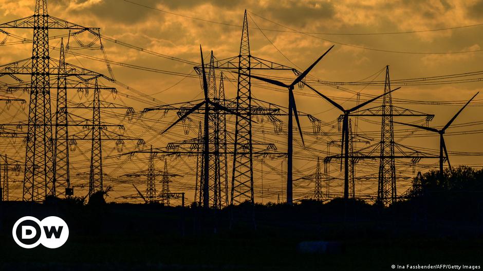 Europe wants a inexperienced energy grid. What’s holding it again? – DW – 06/16/2024