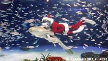 Inmitten eines Fischschwarms ist ein als Weihnachtsmann verkleideter Taucher zu sehen.