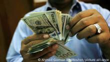 (161112) -- CAIRO, Nov. 12, 2016 () -- An employee counts money in a money exchange office in downtown Cairo, Egypt on Nov. 12, 2016. The International Monetary Fund (IMF) executive board approved on Friday Egypt's request for a three-year 12 billion U.S. dollars loan, Egypt's state TV reported. (/Ahmed Gomaa) (gl)