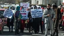 Dokar 'yan taliban na tada kura 