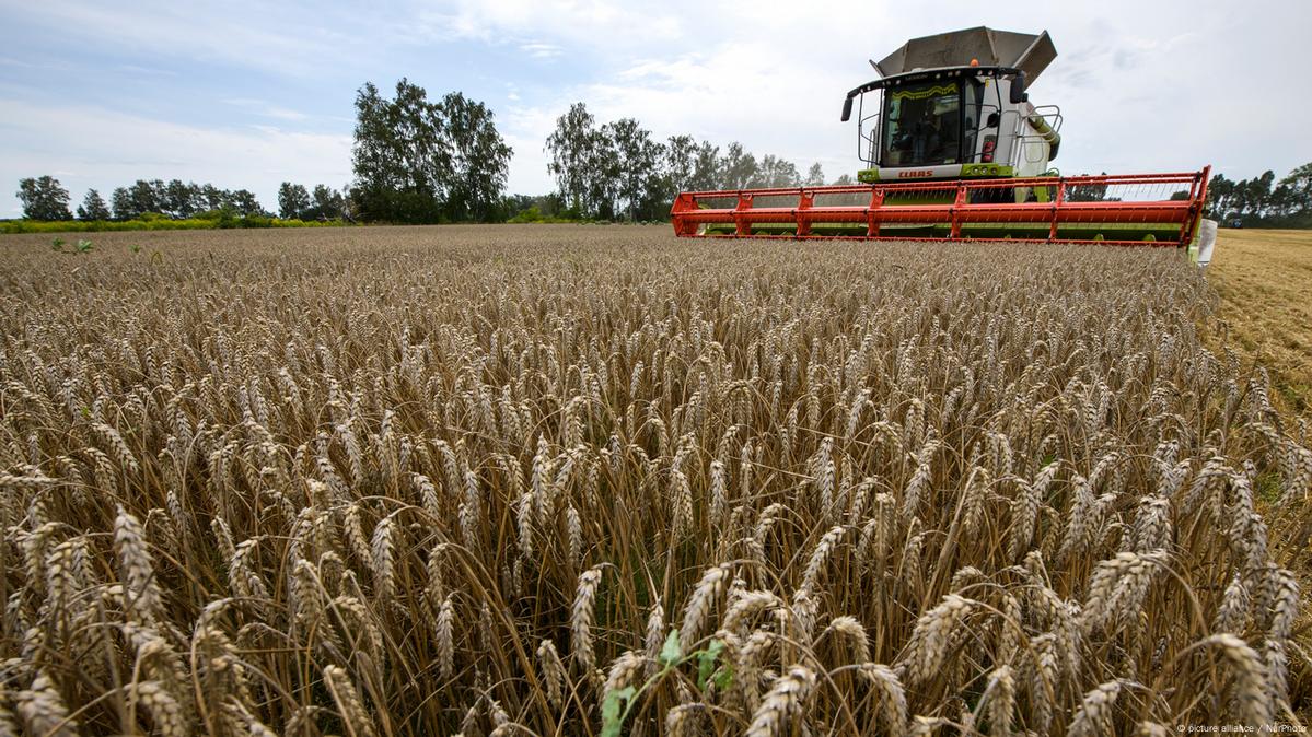 Ue Polski Kłopot Z Ukraińską Konkurencją Rolną Dw 30012023 9794