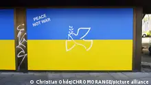 Die Nationalfarben der Ukraine mit Friedenstaube auf einem Schaufenster in Bergedorf, Hamburg, Deutschland
