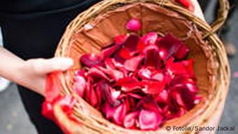 Rosenblätter im Korb (Foto: Fotolia)