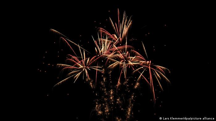 Не е само стресът за животните - много хора се