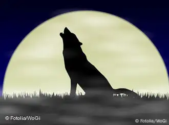 A wolf howls at the moon
