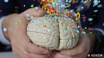 ανθρώπινος εγκέφαλος