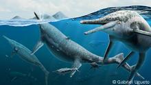 Künstlerische Lebensrekonstruktion des erwachsenen und neugeborenen triassischen Ichthyosauriers Shonisaurus. (c) Gabriel Ugueto
