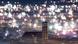 Fireworks in Munich on New Year's Eve Fireworks in Munich on New Year's Eve