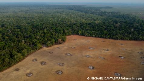 Área devastada da Amazônia, ao lado de área com muitas árvores