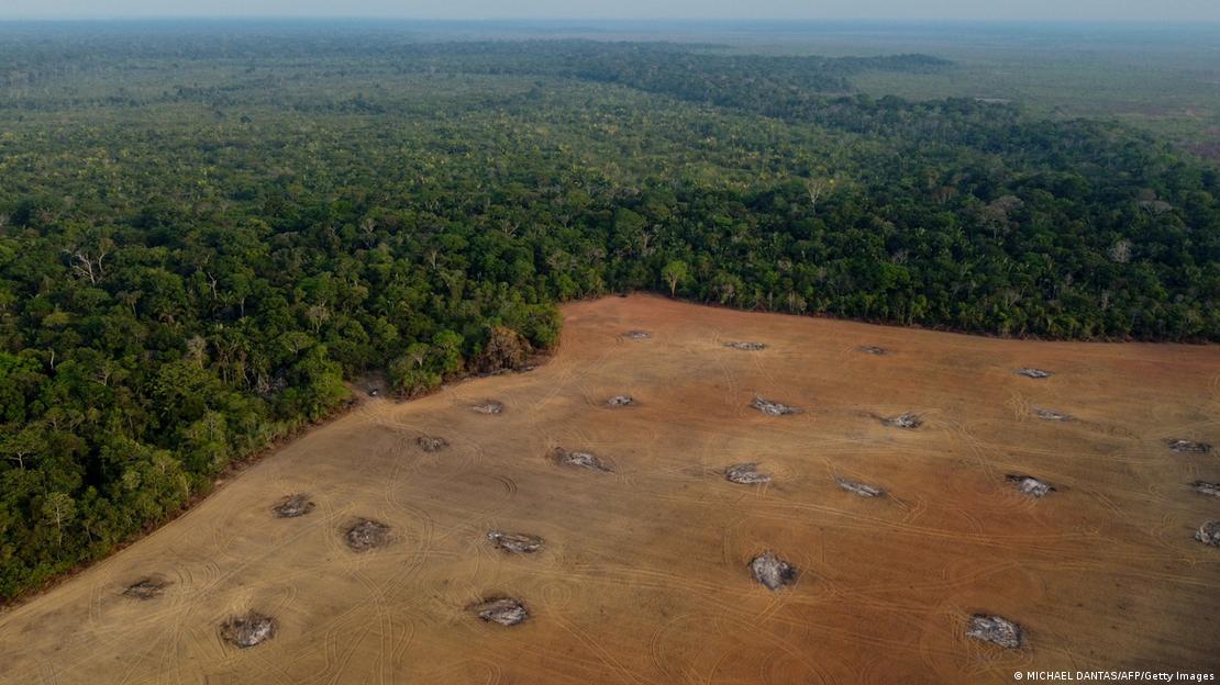 Buraco desmatado no meio da Amazônia
