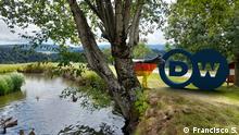 Foto del logo de DW junto a una escultura de una vaca con los colores de la bandera alemana.