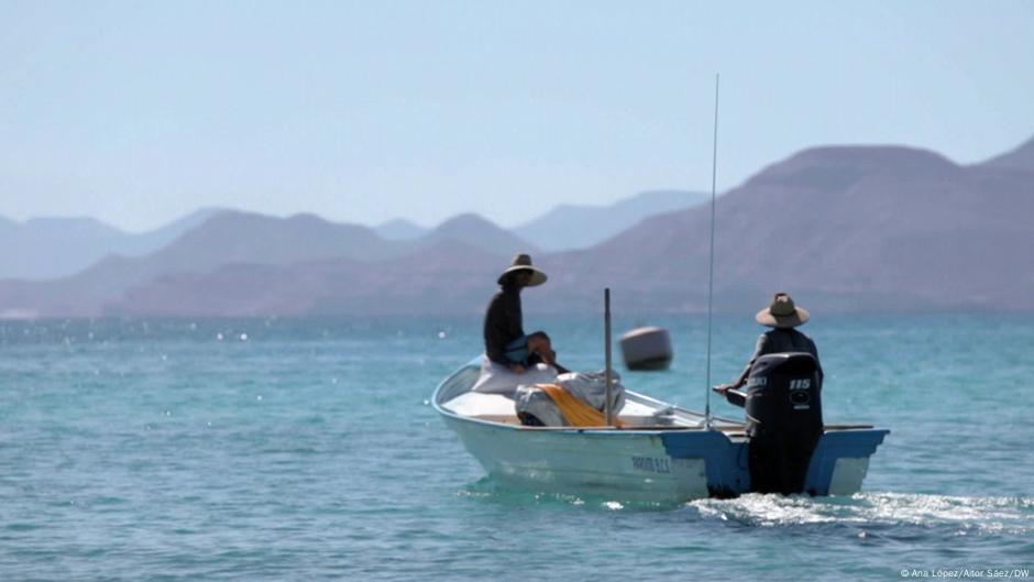 UN-Mitgliedstaaten einigen sich auf Abkommen zum Schutz der Hochsee