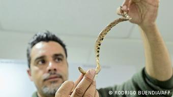 boa ecuador