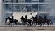 Security forces on horseback in front of the Palacio do Planalto Security forces on horseback in front of the Palacio do Planalto