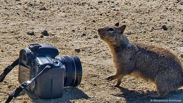 Flash-Galerie Online Photography Course Flash-Galerie Online Photography Course