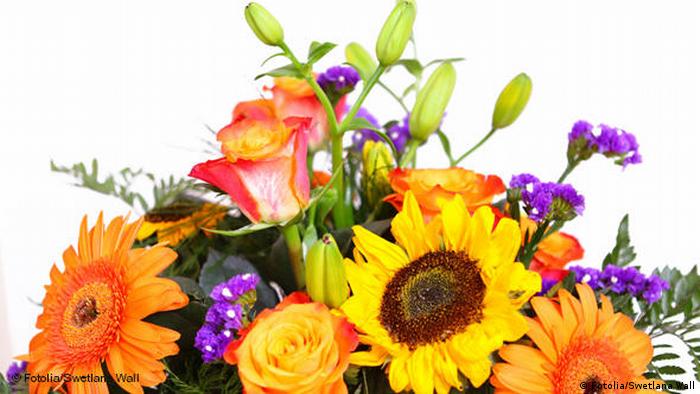 Цветы на собеседовании