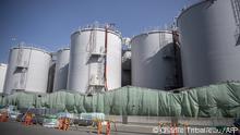  Fukushima an cika shekaru 12