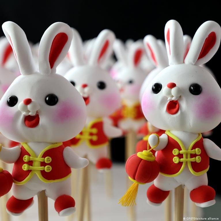 Lunar New Year Year of the Rabbit/bunny 2023 Weekly Bullet 
