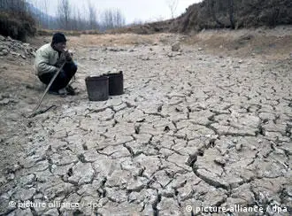 山东省1月份的旱情