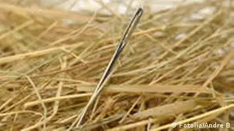 Symbolbild Die Nadel im Heuhaufen