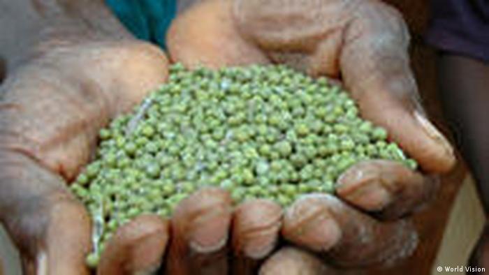 Saatgut in Äthiopien , Biospritproduktion, Landraub, Nahrungsmittelkrise, Nothilfe