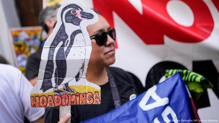 Una manifestante sostiene un recorte con la figura de un pingüino y la inscripción No a Dominga.
