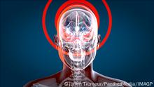 Human and brain xray, human anatomy, 3D Illustration