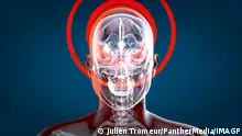 Human and brain xray, human anatomy, 3D Illustration