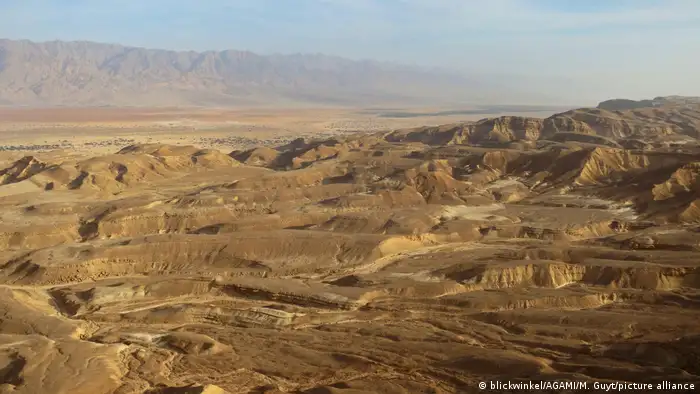 在阿拉伯谷的挖掘工作揭示了这些惊人的发现