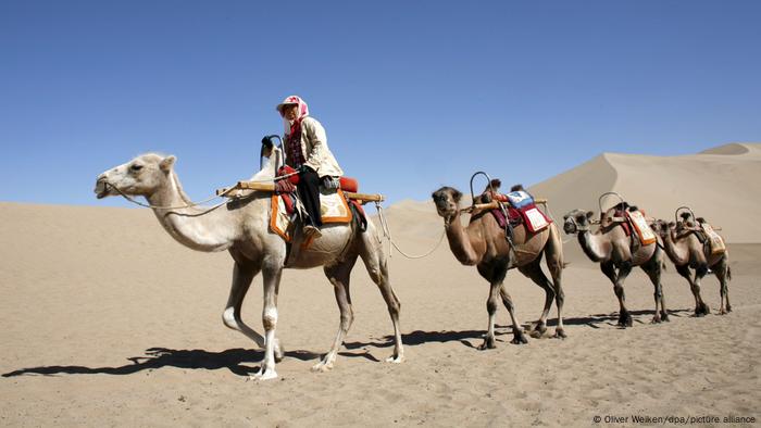 中国敦煌的骆驼商队，这是古代丝绸之路的一个枢纽