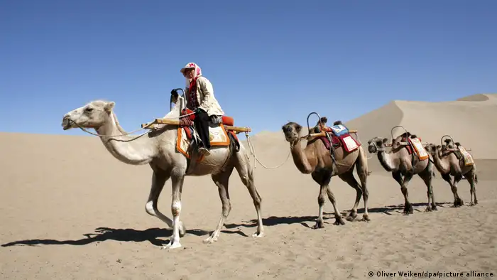 中国敦煌的骆驼商队，这是古代丝绸之路的一个枢纽