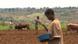 Family farming is the backbone of African agriculture Family farming is the backbone of African agriculture