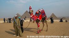 A handler leads his camel, dressed in christmas themed clothing, near the Giza Pyramids Necropolis on the southwestern outskirts of the Egyptian capital on December 31, 2022. (Photo by Khaled DESOUKI / AFP) (Photo by KHALED DESOUKI/AFP via Getty Images)