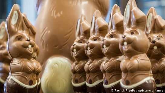 Chocolate Easter bunnies in a row at the Confiserie Felicitas chocolate manufacture