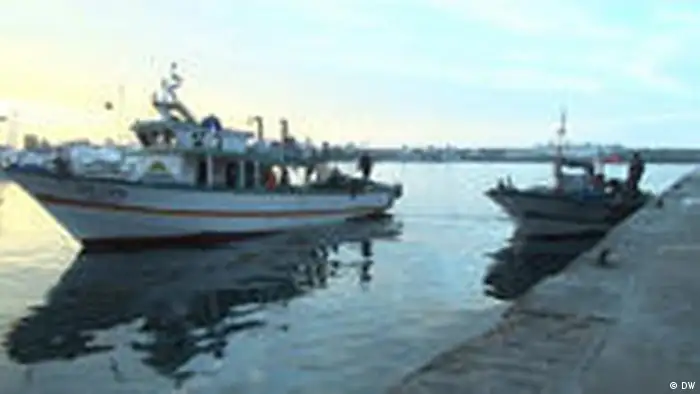 .Boot in Kelibia Hafen , Tunesien (DW)